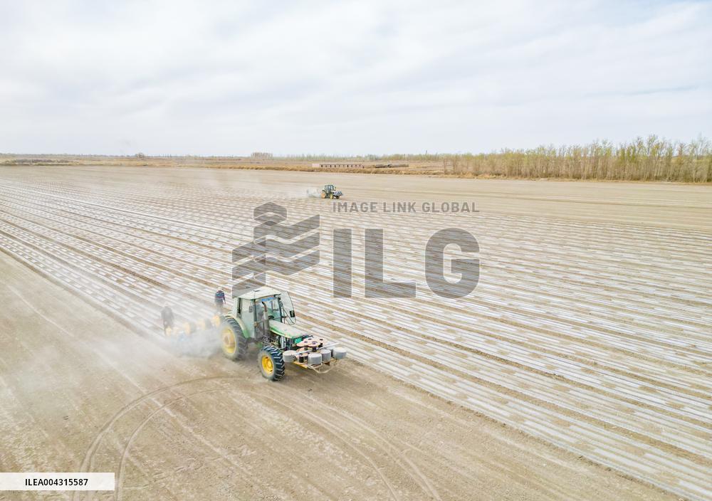 China Xinjiang Cotton Sowing