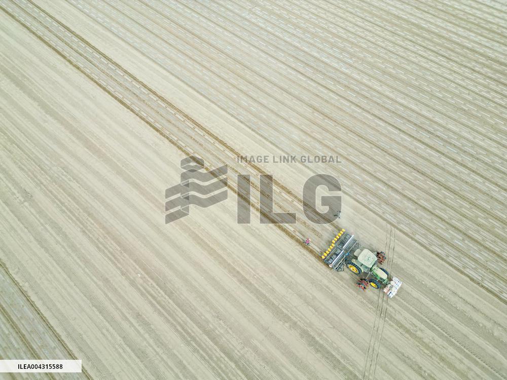 China Xinjiang Cotton Sowing