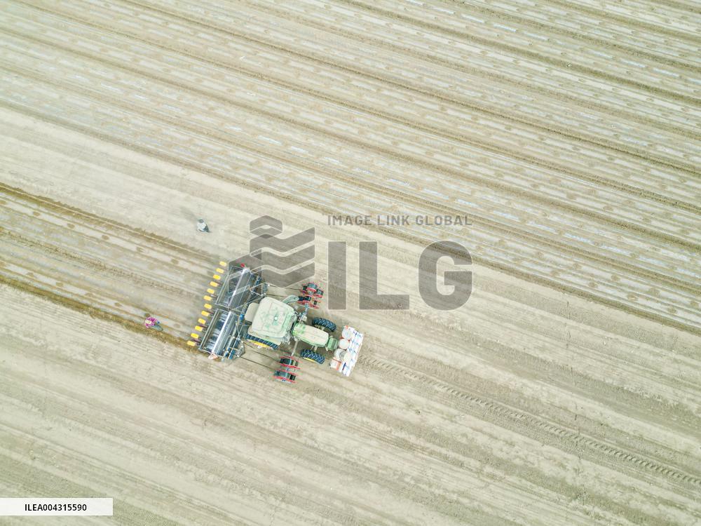 China Xinjiang Cotton Sowing