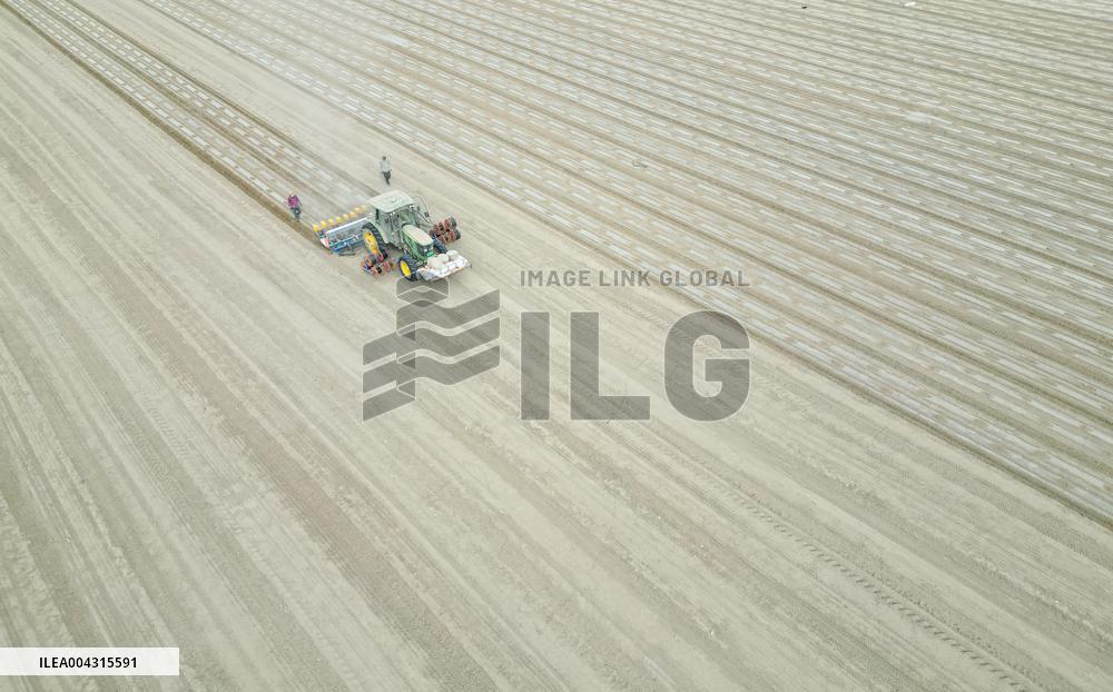 China Xinjiang Cotton Sowing