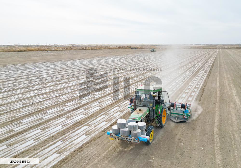China Xinjiang Cotton Sowing