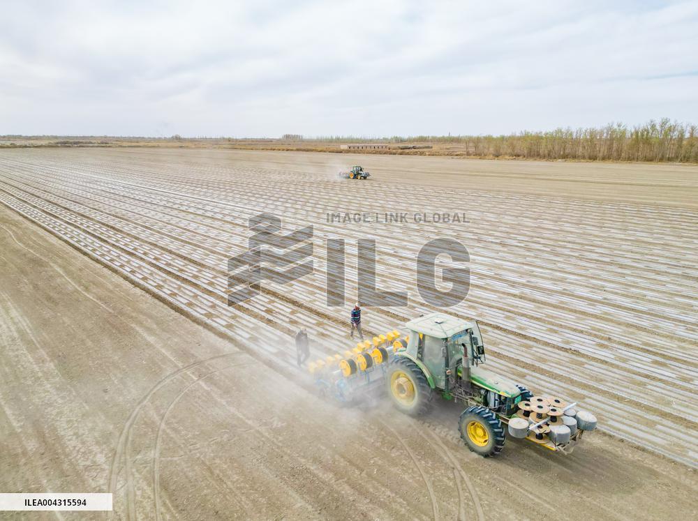 China Xinjiang Cotton Sowing