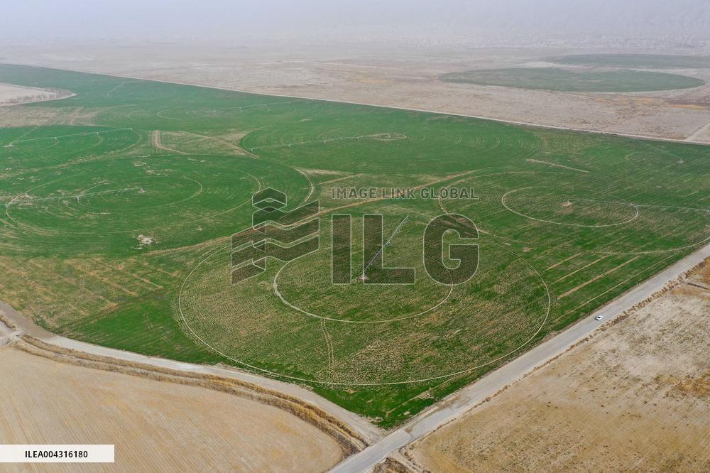 Taklimakan Desert Control Afforestation - China