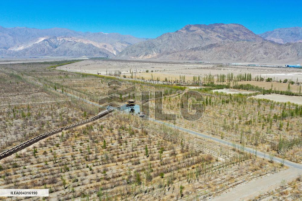 Taklimakan Desert Control Afforestation - China