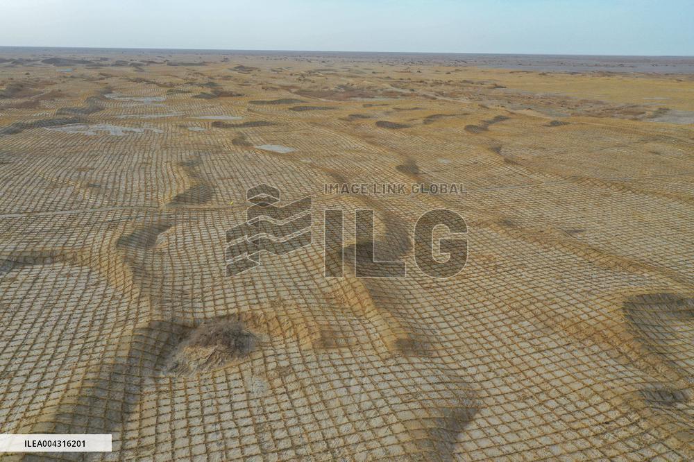 Taklimakan Desert Control Afforestation - China