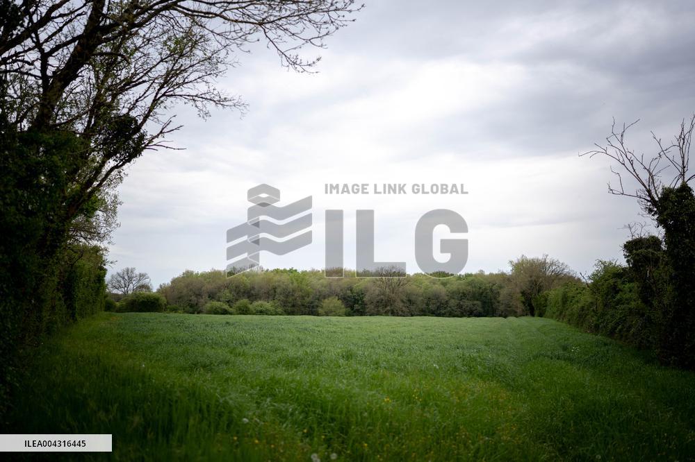 Illustration of the woods next to Agathe Hilairet's house - Vivonne AJ