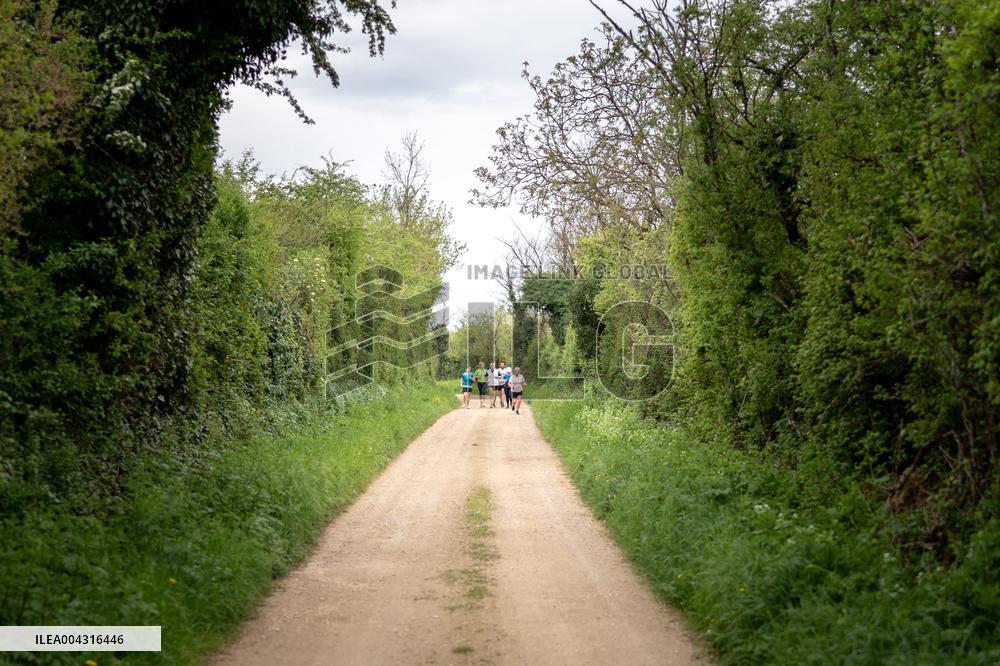 Illustration of the woods next to Agathe Hilairet's house - Vivonne AJ
