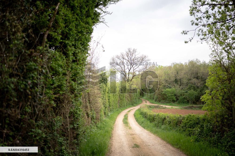 Illustration of the woods next to Agathe Hilairet's house - Vivonne AJ