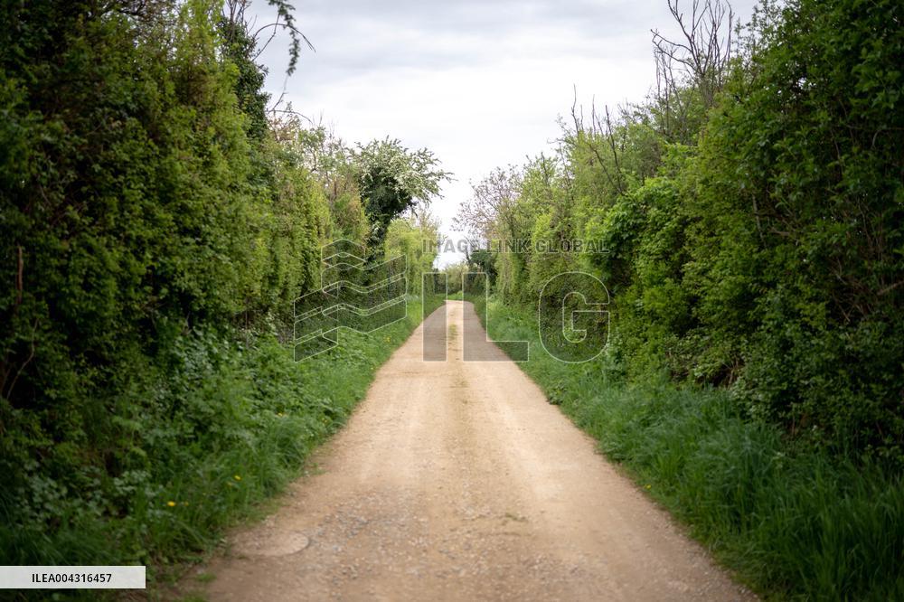 Illustration of the woods next to Agathe Hilairet's house - Vivonne AJ