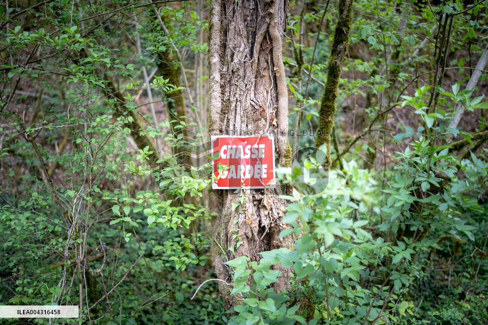 Illustration of the woods next to Agathe Hilairet's house - Vivonne AJ