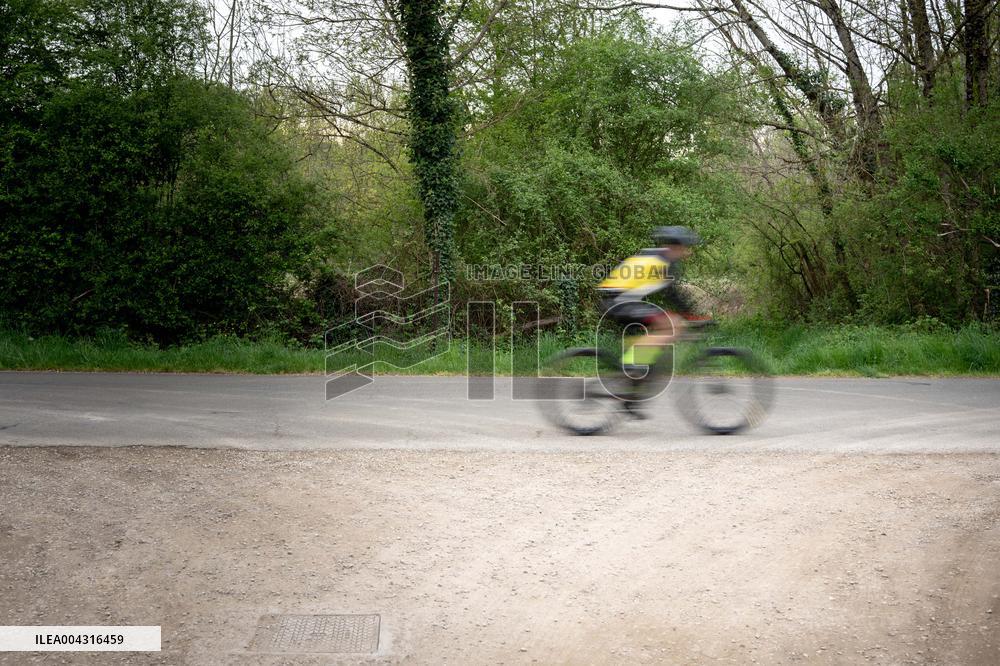 Illustration of the woods next to Agathe Hilairet's house - Vivonne AJ
