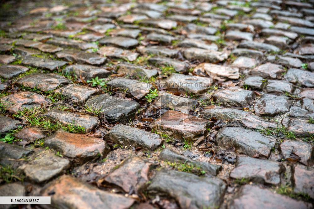Illustration Paris-Roubaix