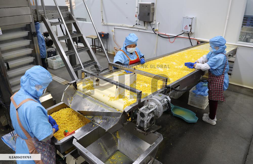 Corn Export
