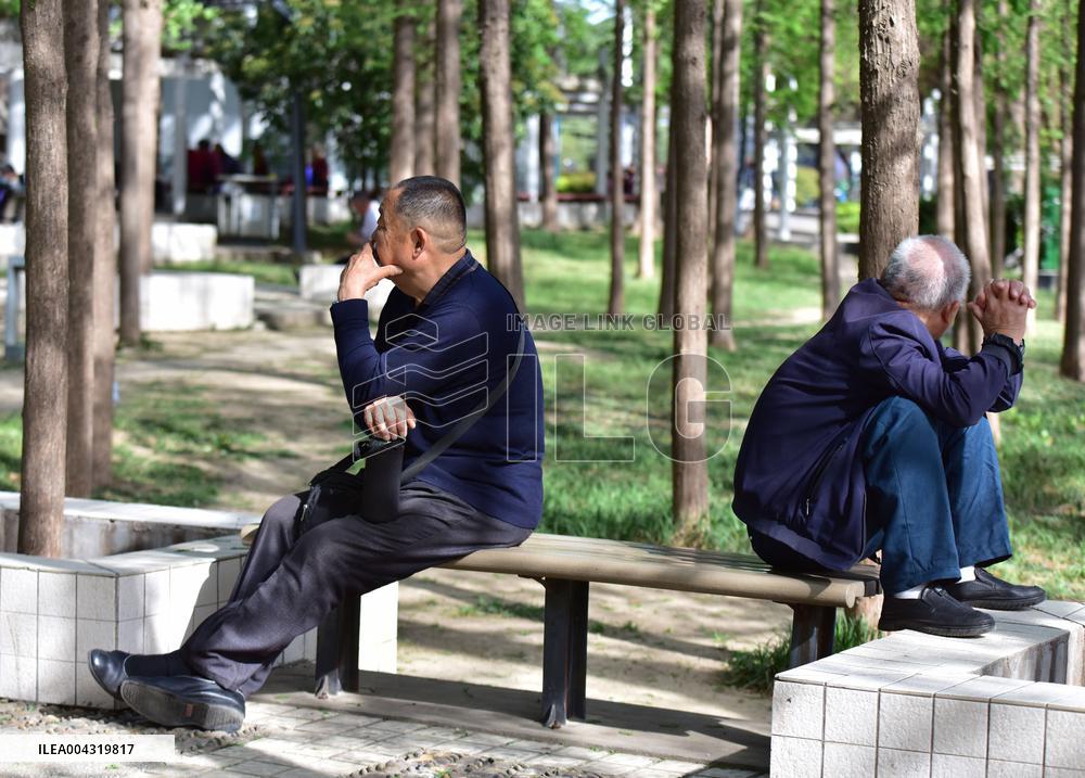 China Aging Society