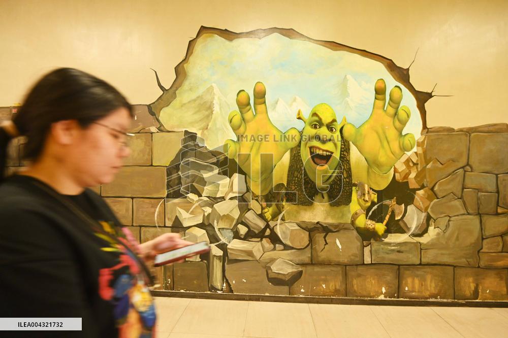 3D Graffiti Wall Painting