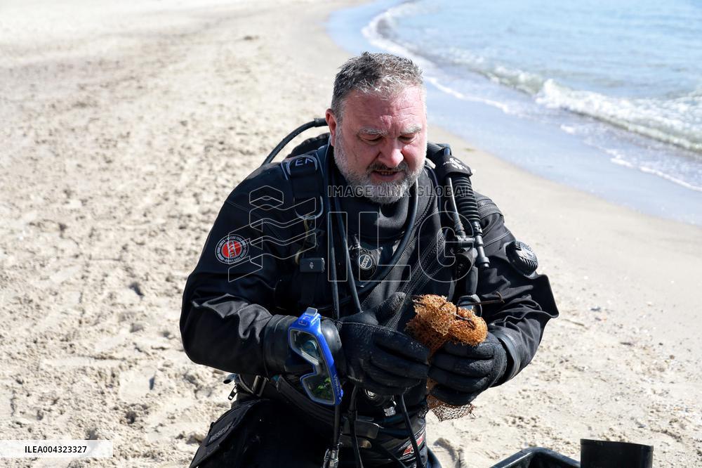 Divers check Black Sea shore in Odesa before high season
