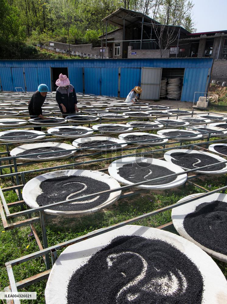 Steamed Black Sesame Seeds