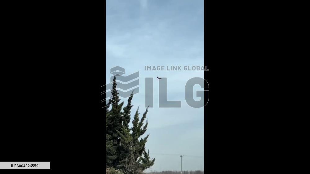 China: Bird Battles Relentless Winds in Beijing