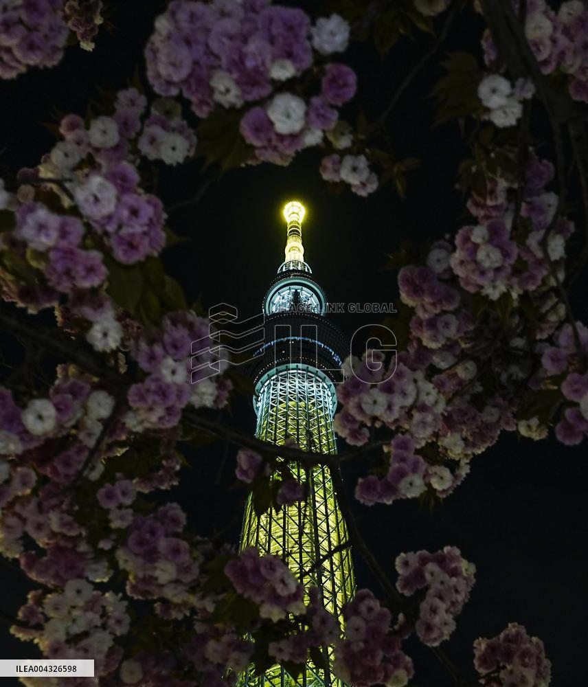 Tokyo Skytree lit up