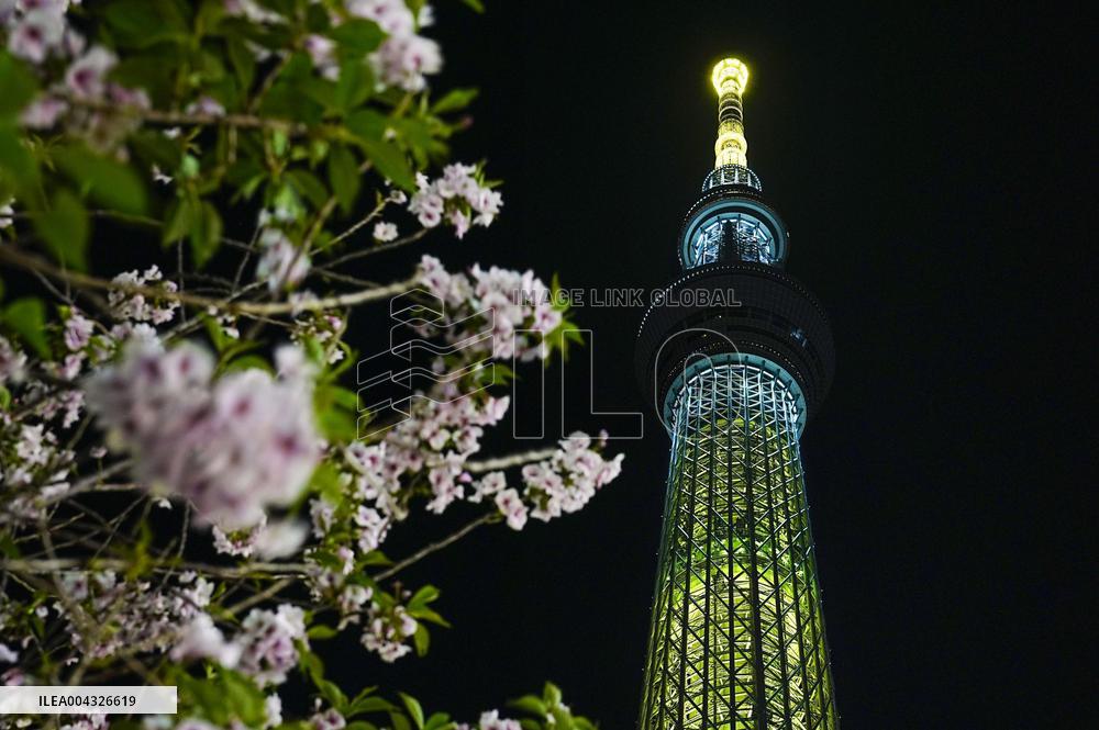 Tokyo Skytree lit up