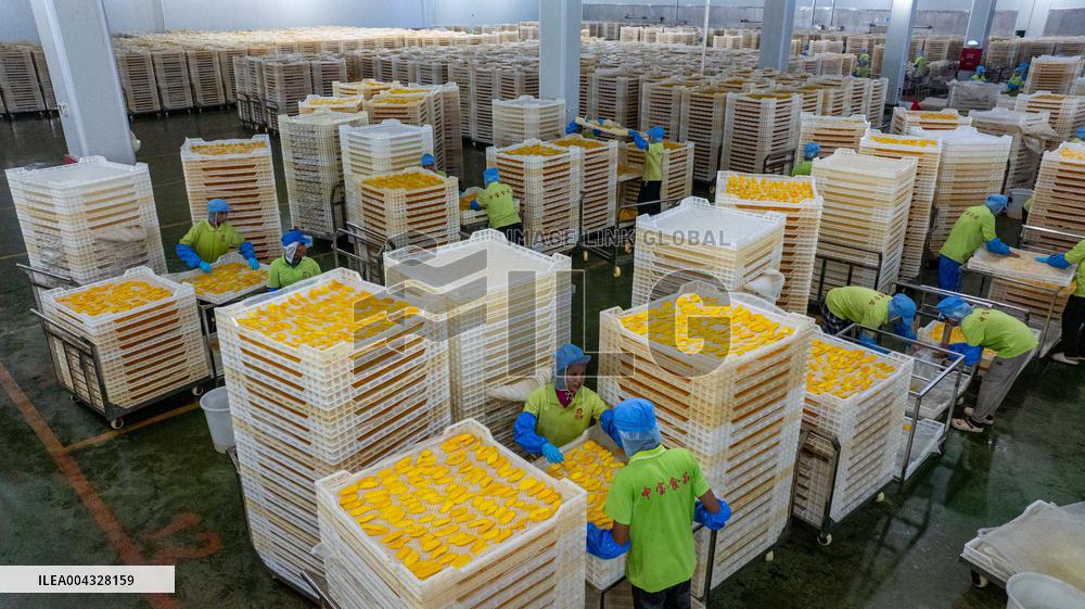 Mango Processing Factories - Cambodia and China