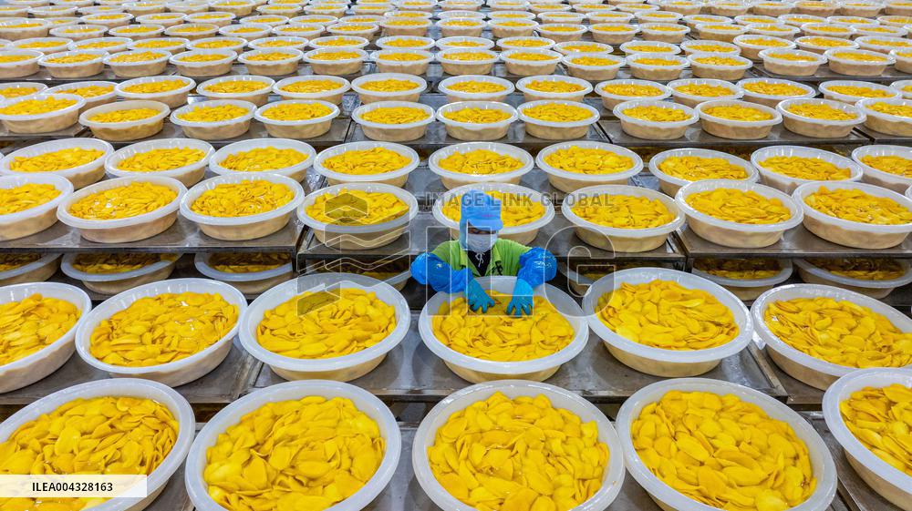 Mango Processing Factories - Cambodia and China
