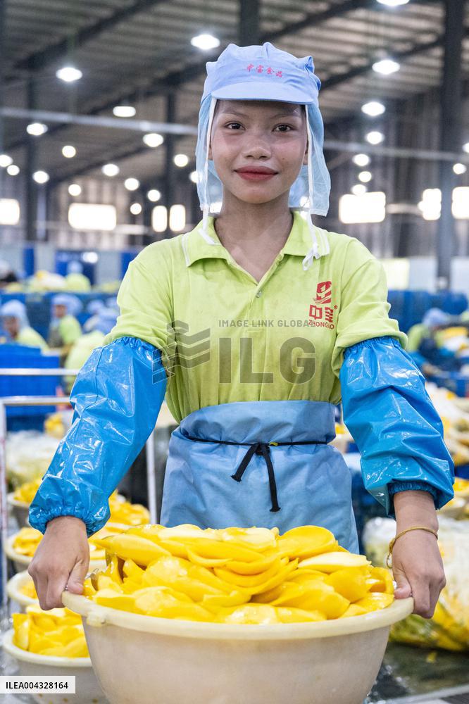 Mango Processing Factories - Cambodia and China