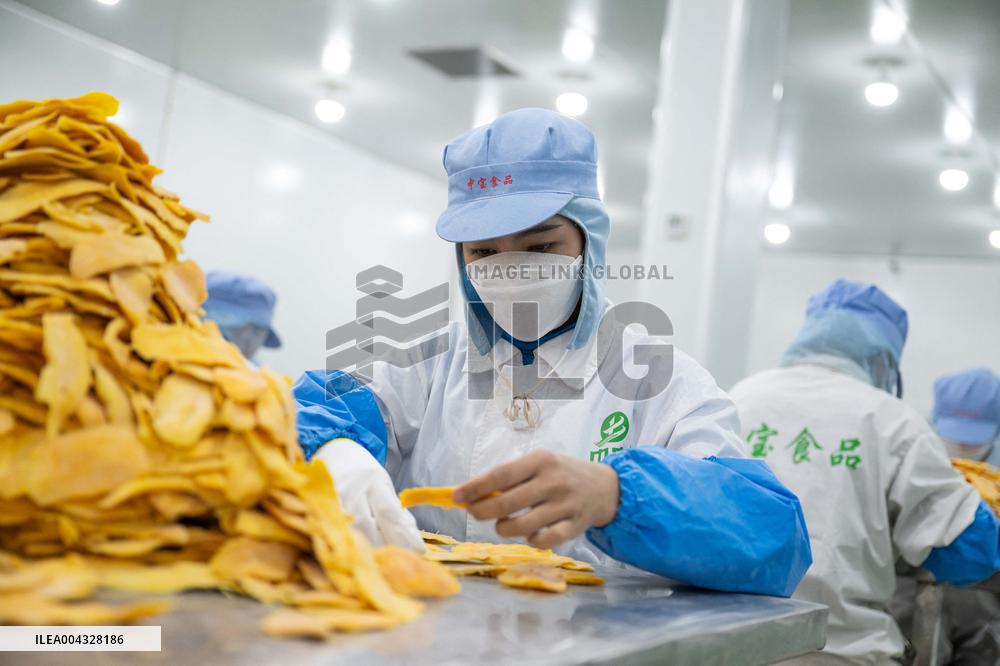 Mango Processing Factories - Cambodia and China