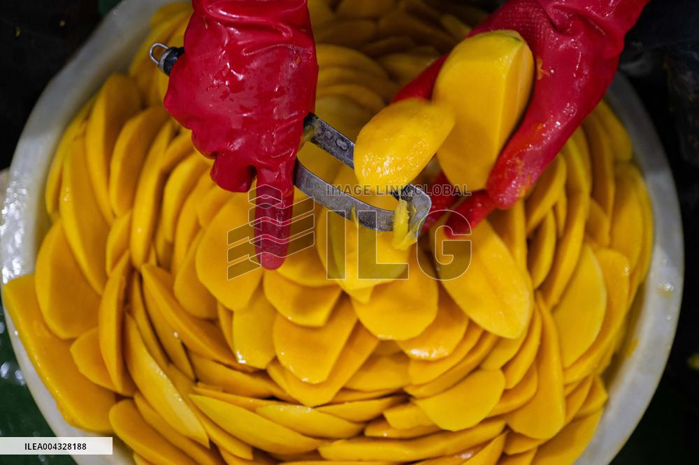 Mango Processing Factories - Cambodia and China