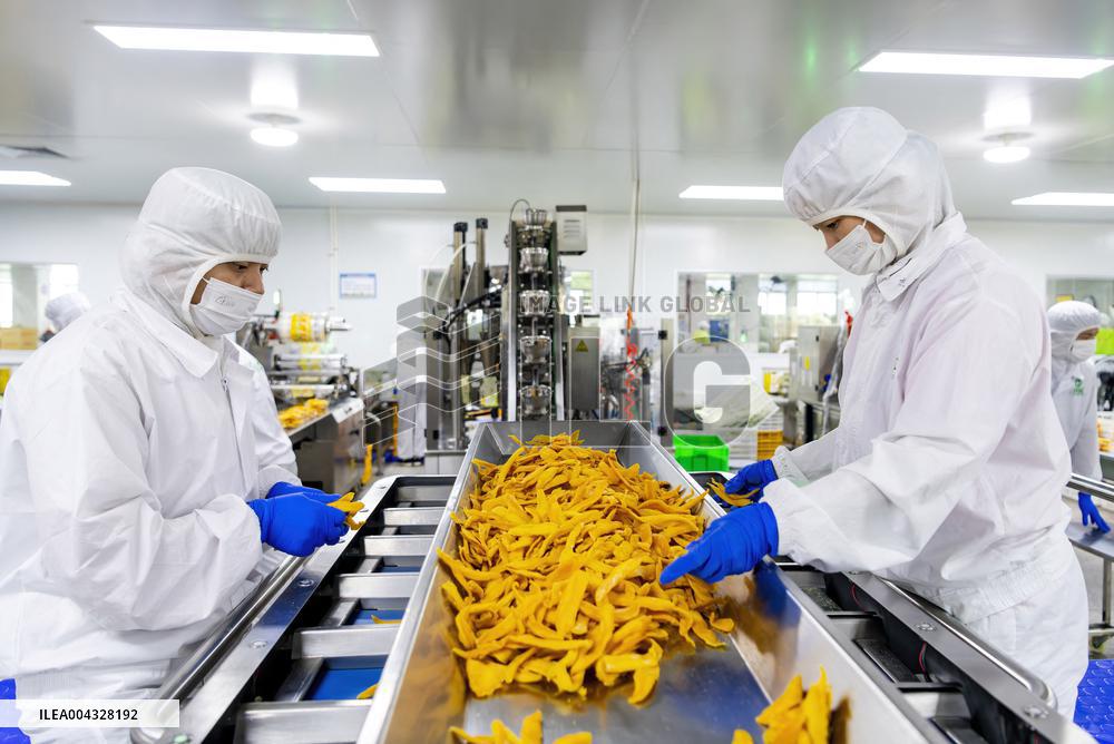 Mango Processing Factories - Cambodia and China