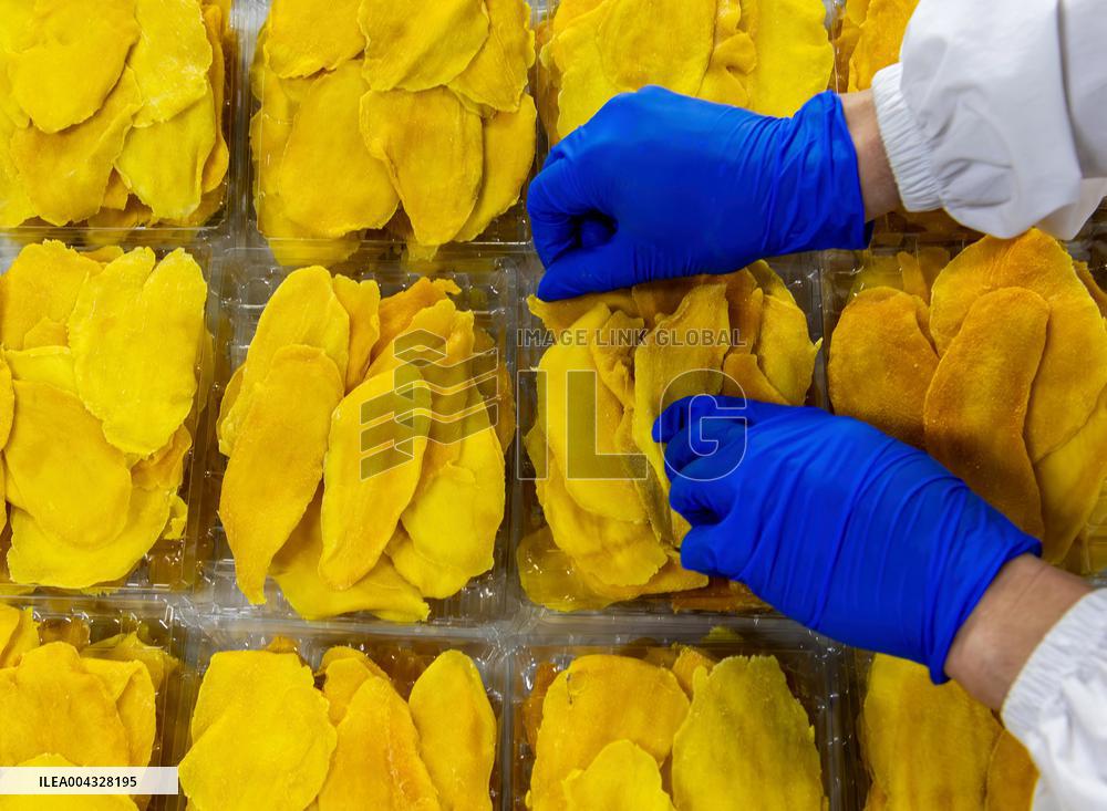 Mango Processing Factories - Cambodia and China