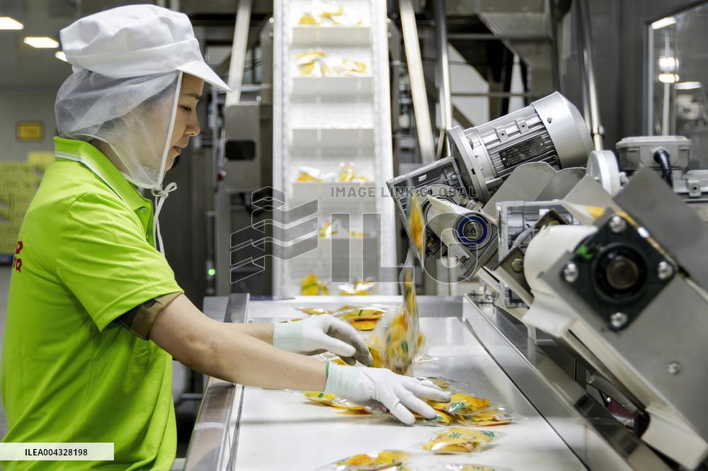 Mango Processing Factories - Cambodia and China