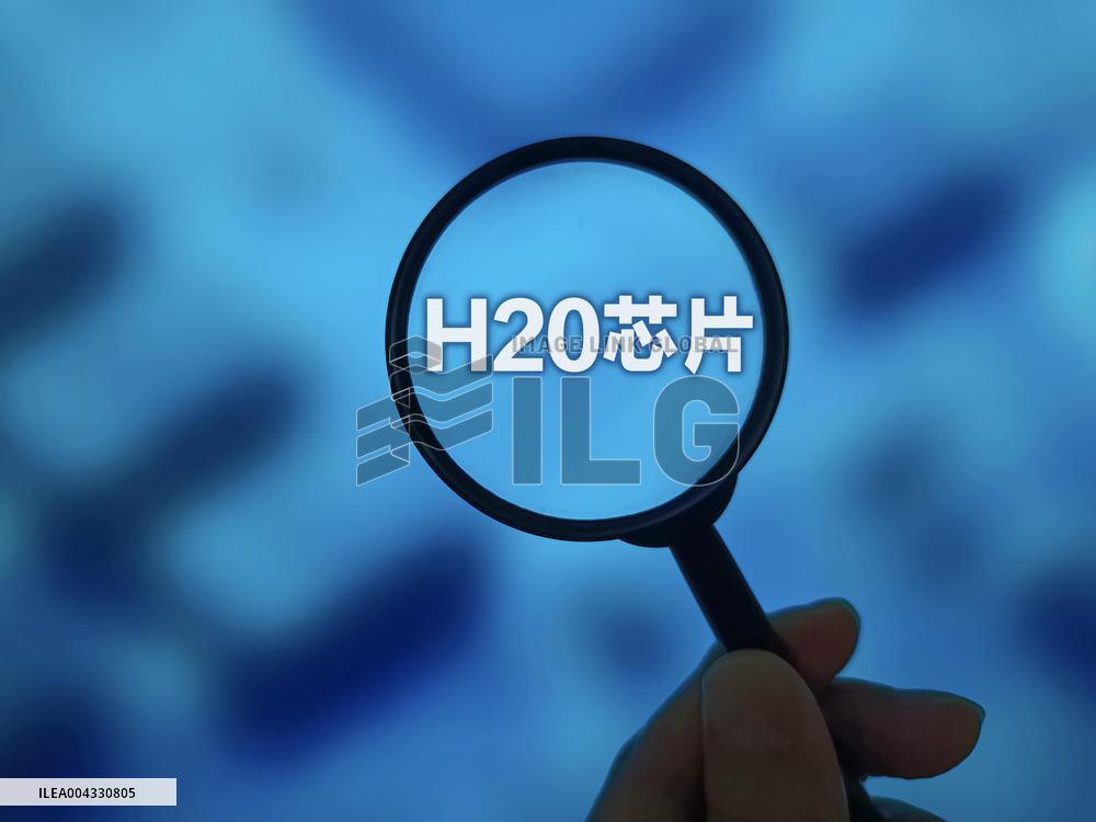 Illustration H20 Chip