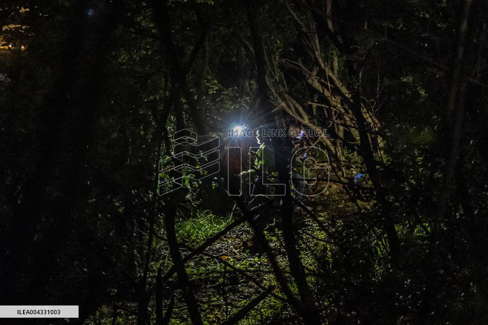 Naples, Castellammare di Stabia, a cabin of the Monte Faito cable car collapses, recovery of the bodies.