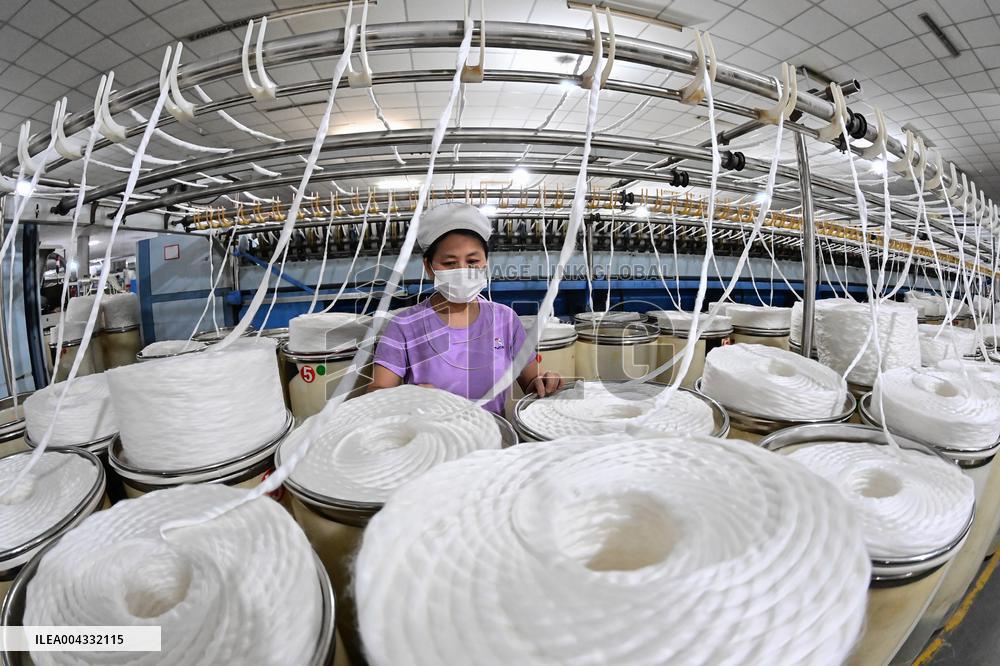 Chemical Fiber Textile Manufacturing in Qingzhou