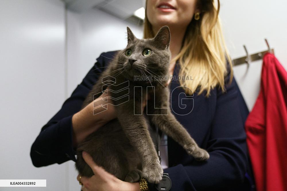 White House Coverage