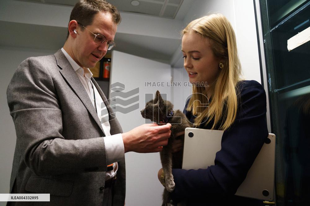 White House Coverage