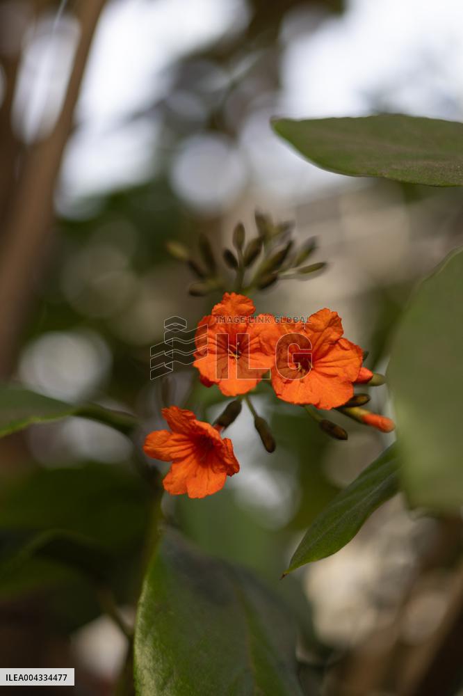 City Life in Abidjan