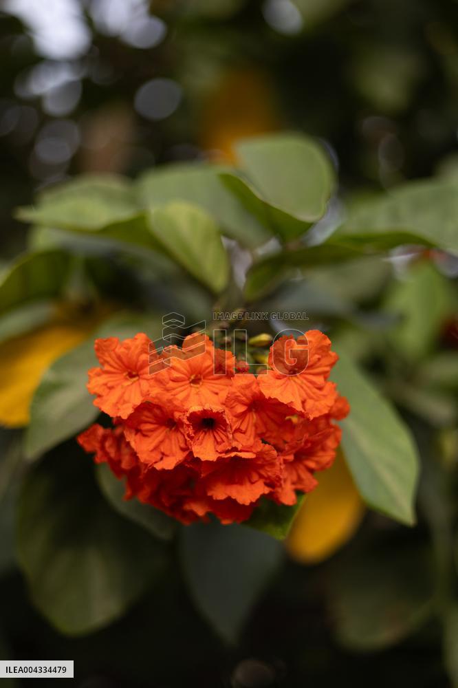 City Life in Abidjan