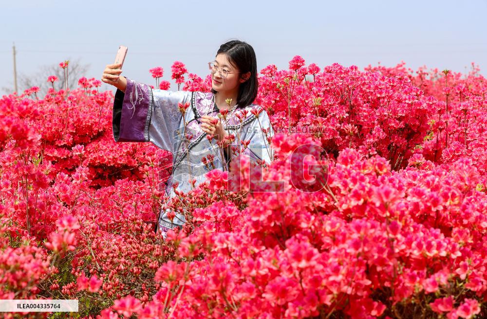 Spring Tour in Qingdao