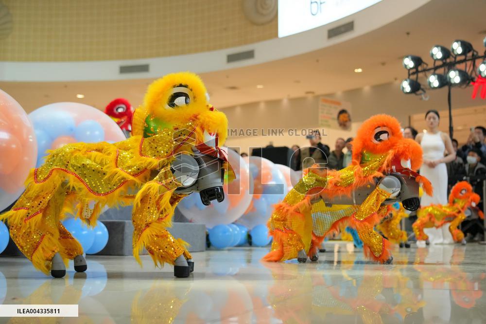 Unitree Go2 Robot Dogs Performing Lion Dance in Yantai