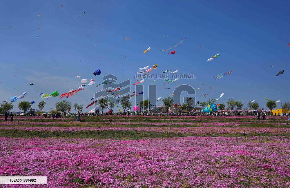 Weifang International Kite Festival - China