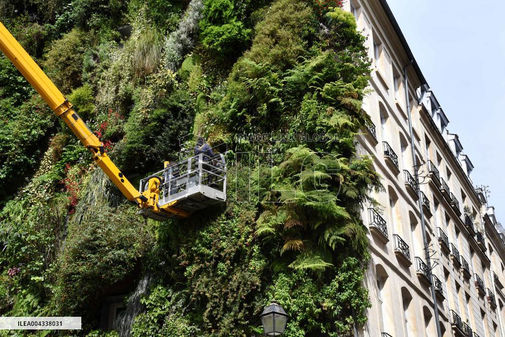 Green Wall - Paris