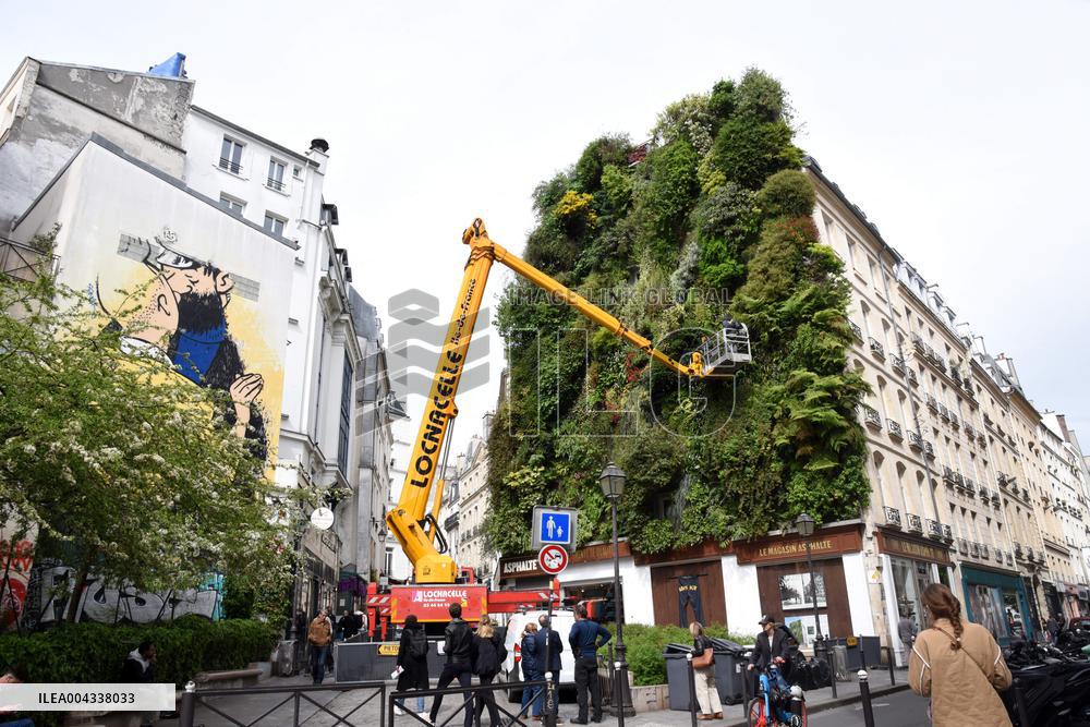 Green Wall - Paris