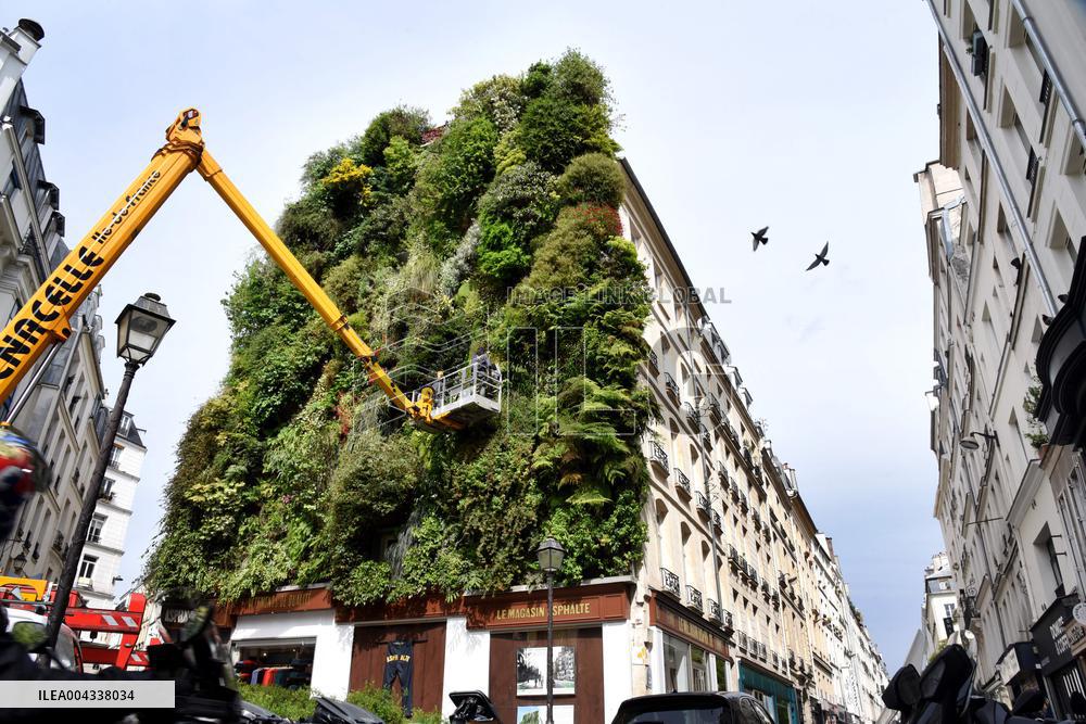 Green Wall - Paris