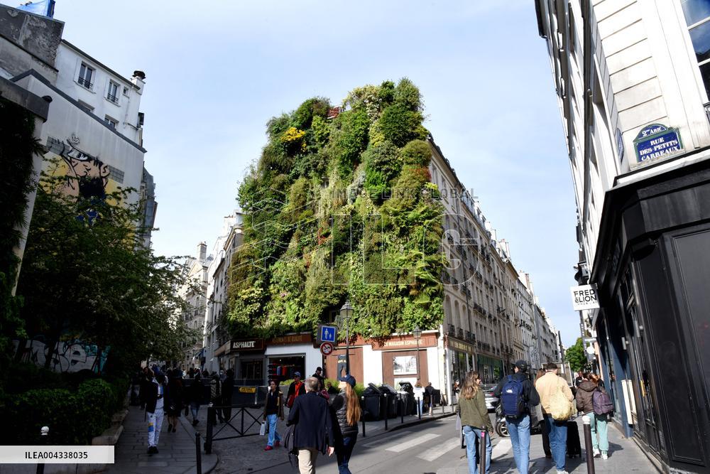 Green Wall - Paris