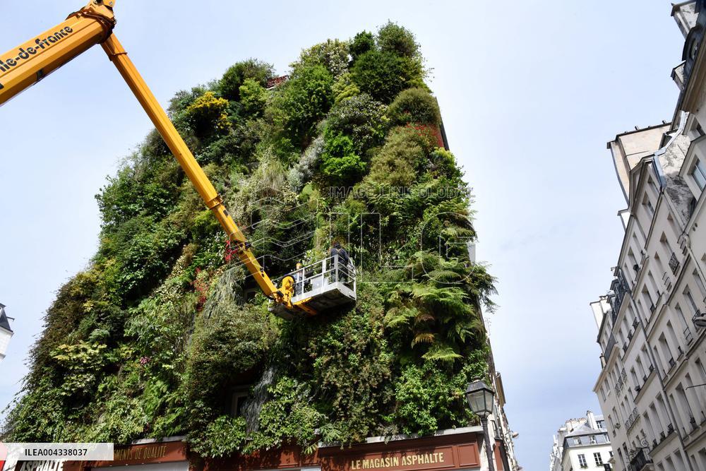Green Wall - Paris