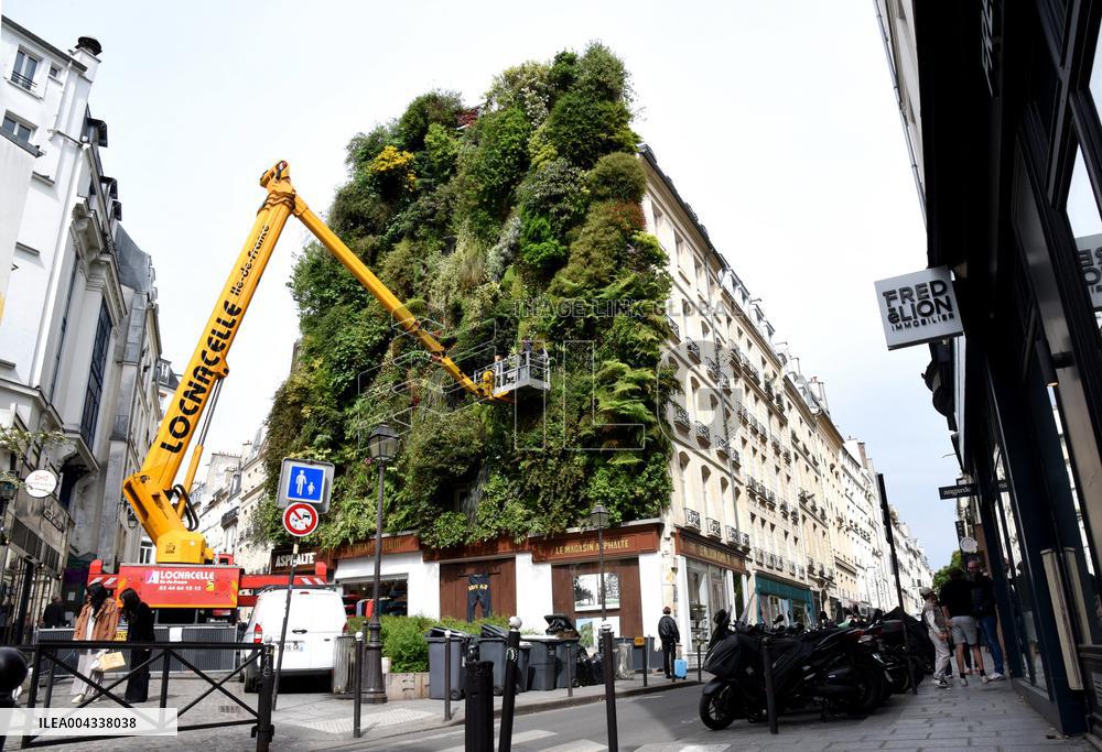 Green Wall - Paris