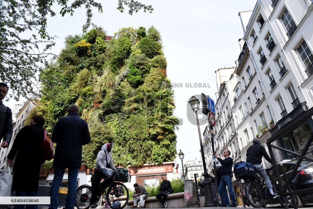 Green Wall - Paris