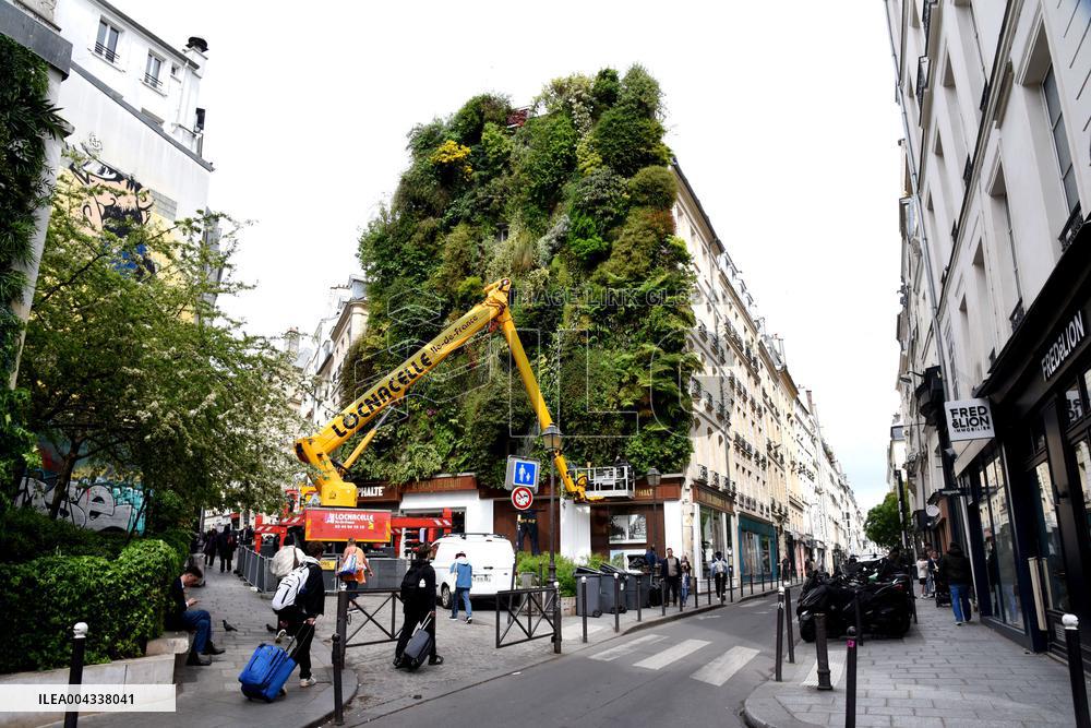 Green Wall - Paris